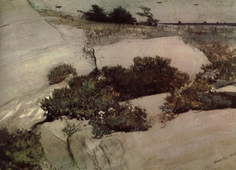 Maine cliffs, Winslow Homer